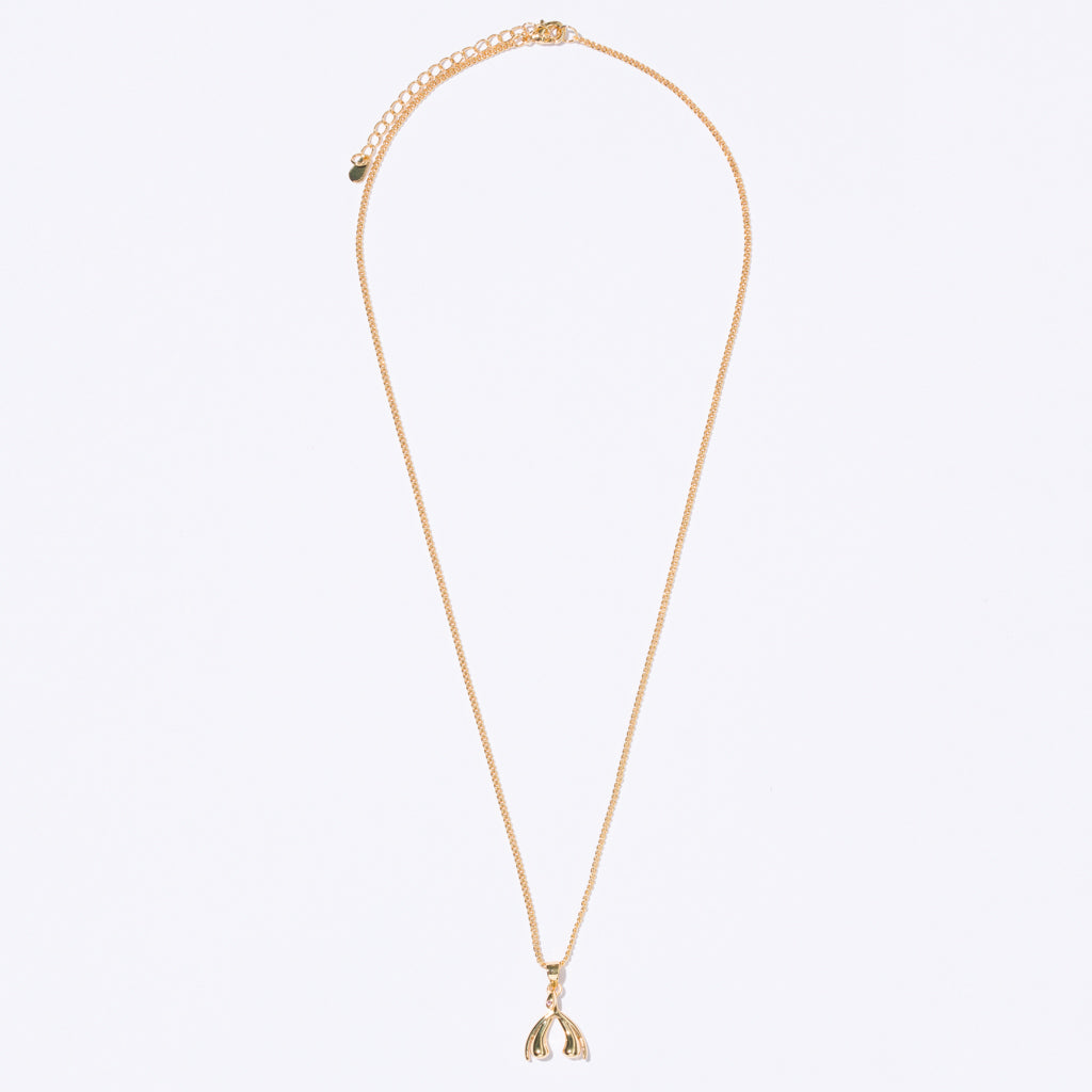 Колье ODE Women Clit Crystal Amethyst GP